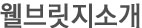 웰브릿지소개