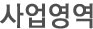 사업영역